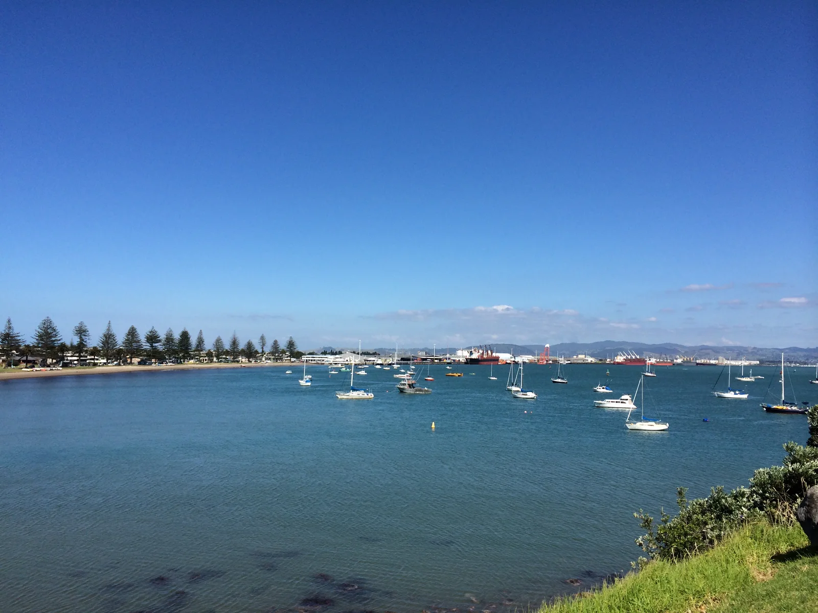 2014년 3월 뉴질랜드 New Zealand 타우랑가 사진 17
