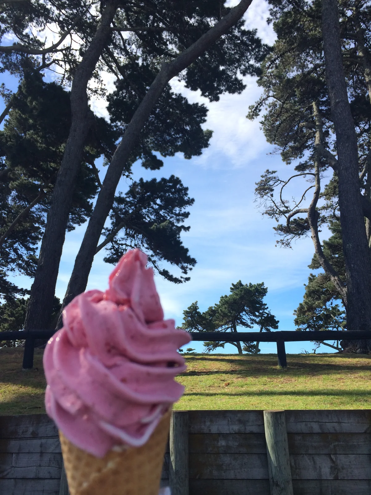 2014년 3월 뉴질랜드 New Zealand 타우랑가 사진 32