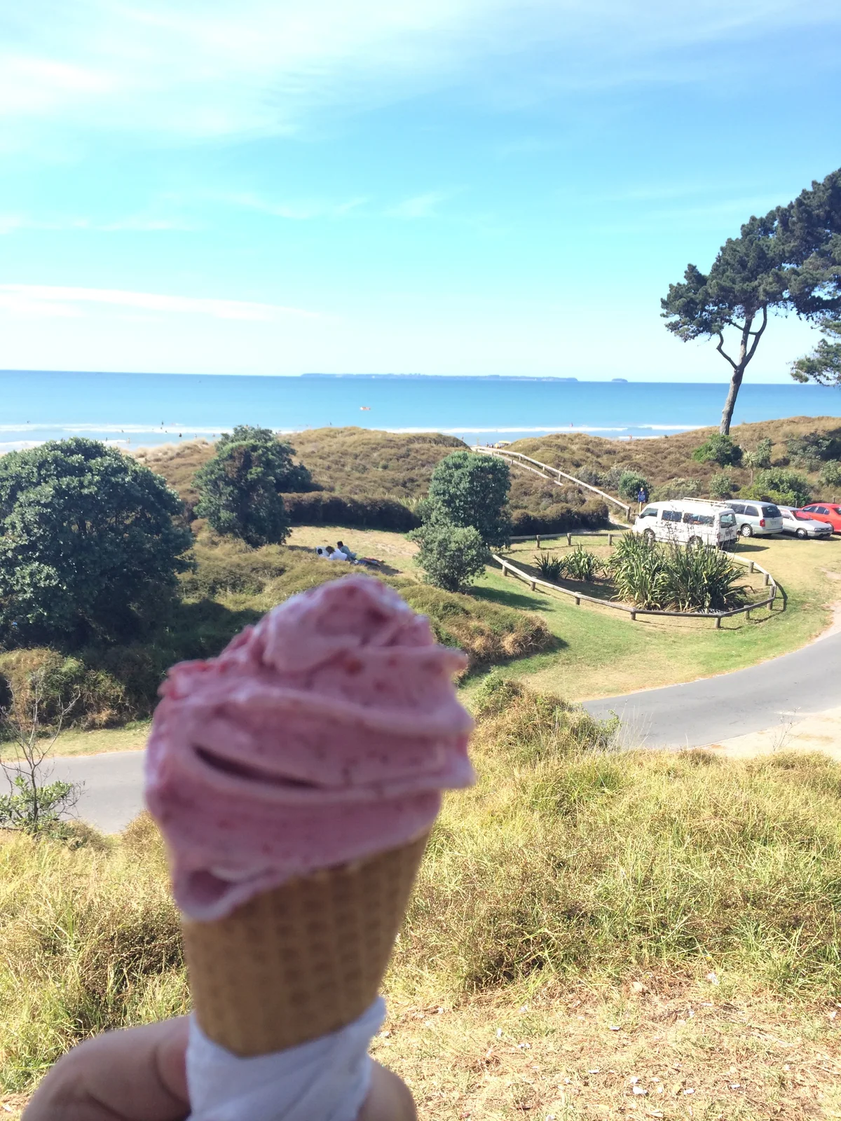 2014년 3월 뉴질랜드 New Zealand 타우랑가 사진 33
