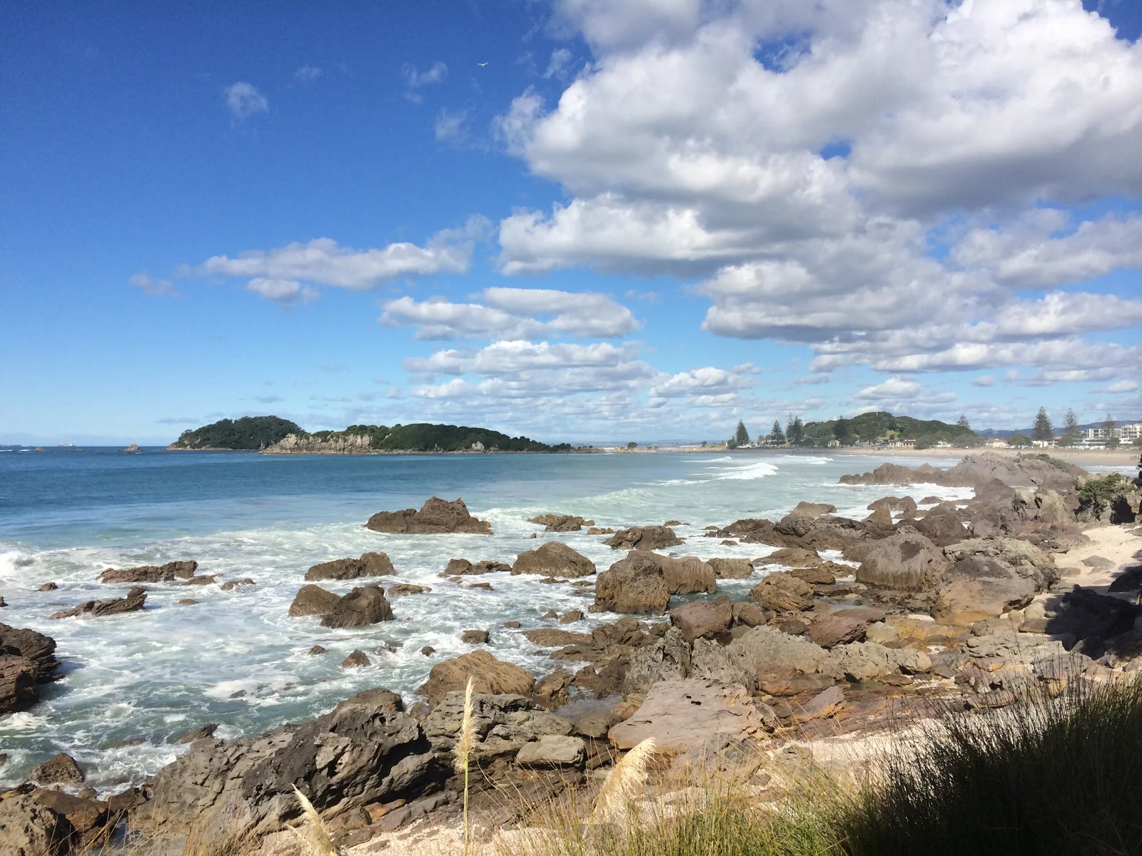 2014년 4월 뉴질랜드 New Zealand 타우랑가 사진 6