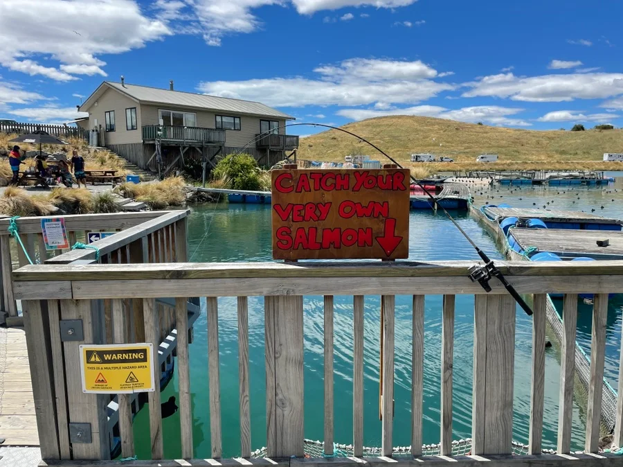 2022년 뉴질랜드 남섬 여행 6일차 테카포 호수 둘째 날 마운트쿡 후커벨리 & 연어 낚시 사진 23